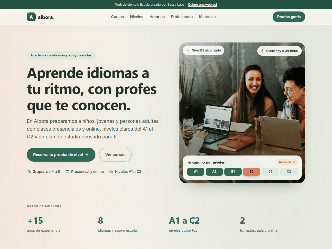 Captura de la web demo de Web para Academias